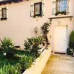 Papere e Tulipani